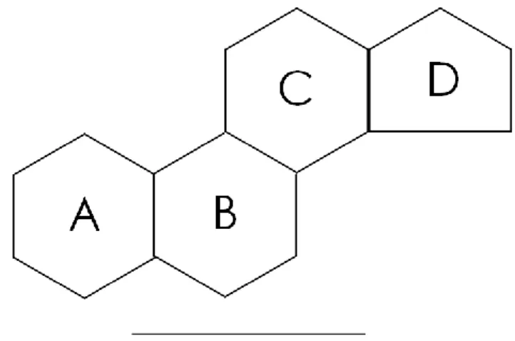 Figure 1 : Noyau commun aux hormones stéroïdes 18   