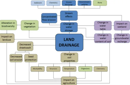 Figure 1. Environmental changes induced by drainage ditch construction: in brown color changes linked to agriculture, in green to vegetation and biodiversity, in purple to groundwater, and in blue to surface water