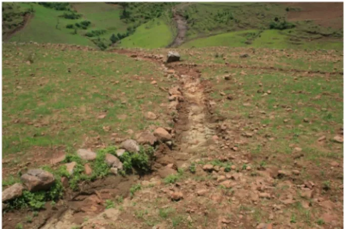 Figure 4. Bedrock exposure by gully erosion due to the construction of a feses drainage ditch construction in cropland near Wanzaye, Ethiopia (August 2013)