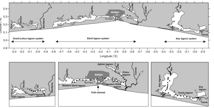 Fig. 1 Map showing the location of lagoons and rivers in Ivory Coast and the sampling stations (bottom panels)