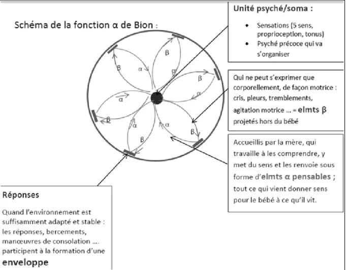 Figure 4: schéma construit d’après le cours de Mme Latour, 3ème  année, IFP Bordeaux 