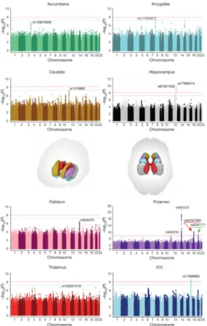 Figure 1. Common genetic variants associated with subcortical volumes and the ICV