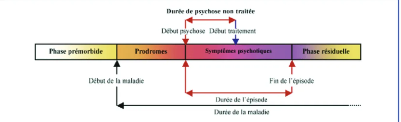 Figure 1: Schéma des différentes phases évolutives précoces de la schizophrénie 