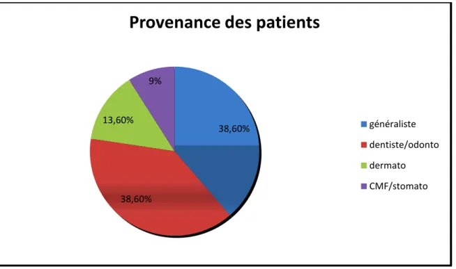 Figure n°4 : Graphique de la provenance des patients. 