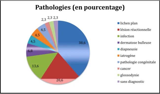 Figure n°6 : Graphique des pathologies. 