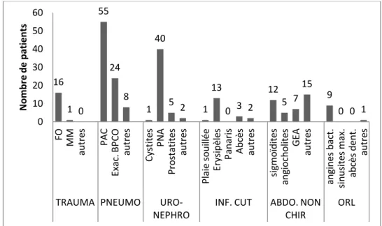 Diagramme 5 - Proportion des pathologies infectieuses les plus fréquemment  rencontrées au SAU pour les patients hospitalisés (N=252) 