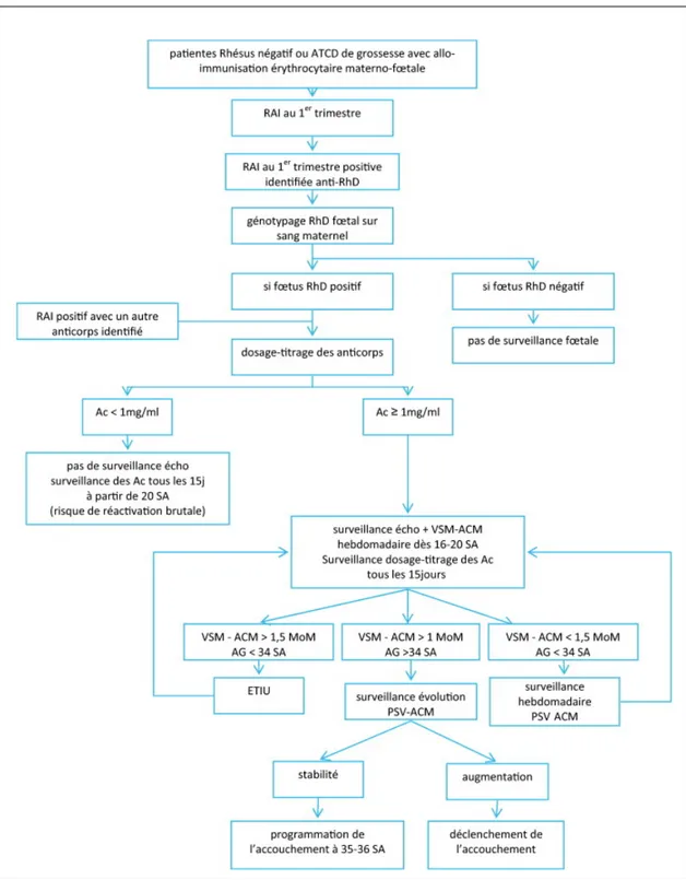 Figure  8  –  Exemple  d’algorithme  de  surveillance  et  de  prise  en  charge  thérapeutique  d’une patiente allo-immunisée dans le système RHD 