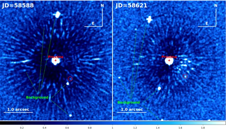Fig. 4. S/N maps for the two epochs acquired in 2019 (JD=58588 and 58621). The red circles mark the possible counterparts of Proxima c at these epochs