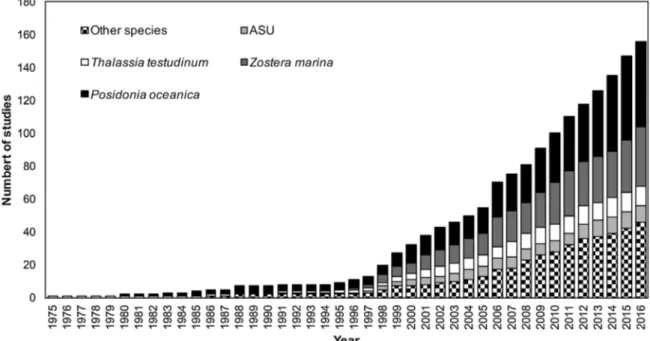 Fig. 3. Cumulative number of studies, categorized according to spatial scale addressed, published from 1975 to 2016