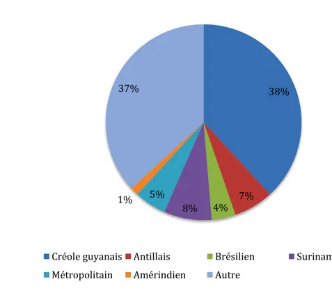 Figure 5 : Proportion des différentes origines ethniques38%