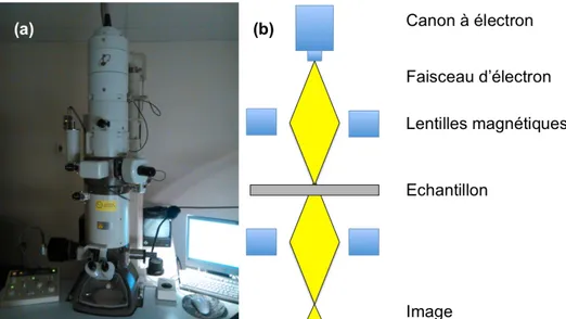 Figure 2-6. Photo (a) et représentation schématique (b) du TEM employé lors des analyses de microscopie électronique