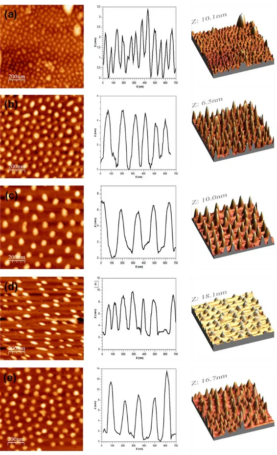 Figure 3-2. AFM images in tapping mode of LB films of PS-b-PMMA1 (a), PS-b-PMMA2 (b), PS-b-PMMA3 (c), PS-b-PMMA4 (d) 