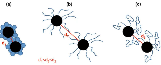 Figure 3-4. Schematic representation of surface micelles with the hydrophilic segments (a) in condensed segregated discs,  (b) with a fully extended chain conformation and (c) with an intermediate chain conformation
