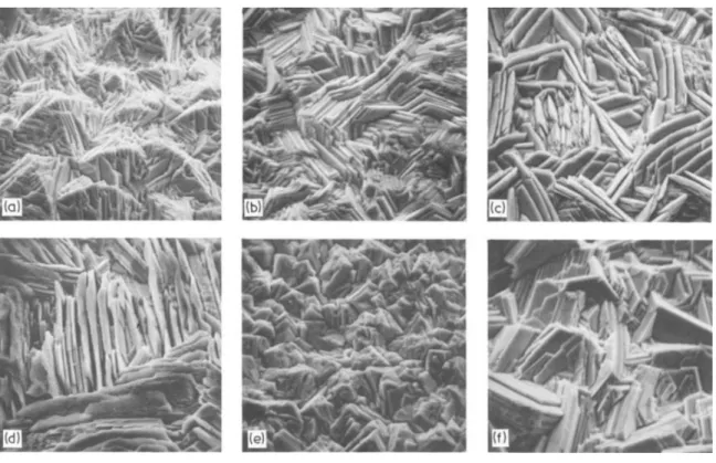 Fig. 2.5 SEM photomicrographs at 770X of zinc deposits obtained from addition-free  electrolyte at (a), (b), (d), (e) 807 A/m 2  and (c), (f) 430 A/m 2 : (a) 3 mg/L PbSO 4  ; (b) 9 