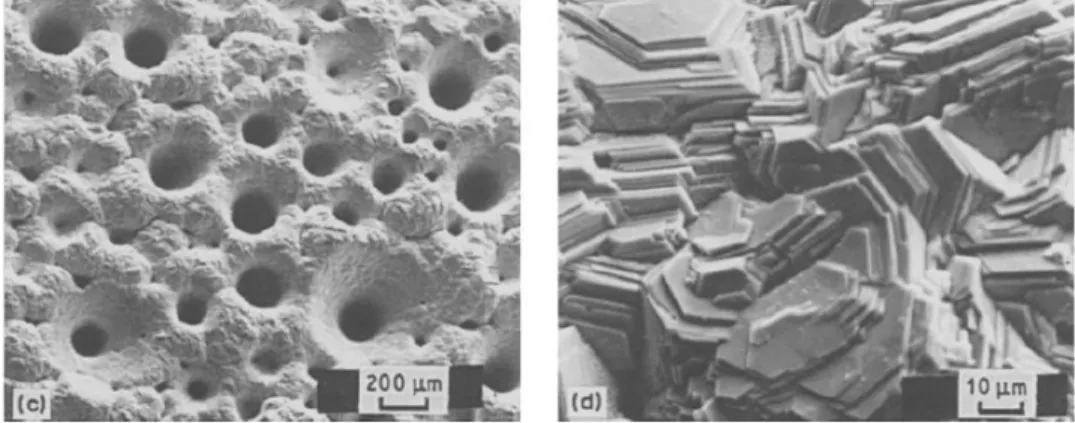 Fig. 2.6 SEM micrographs of 6 h zinc deposits electrowinning at 500A/m 2  and 38°C from  electrolytes containing 0.04 mg/L Sb, 200 g/L H 2 SO 4  and 55 g/L Zn 2+  (Mackinnon et al
