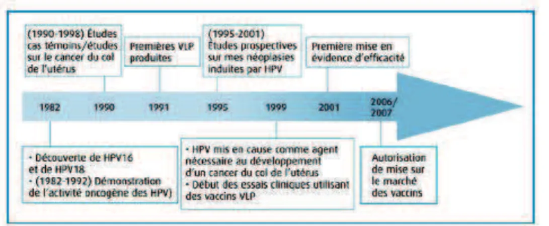 Figure 9. Développement des vaccins HPV à base de pseudoparticules virales (VLP).[8] 