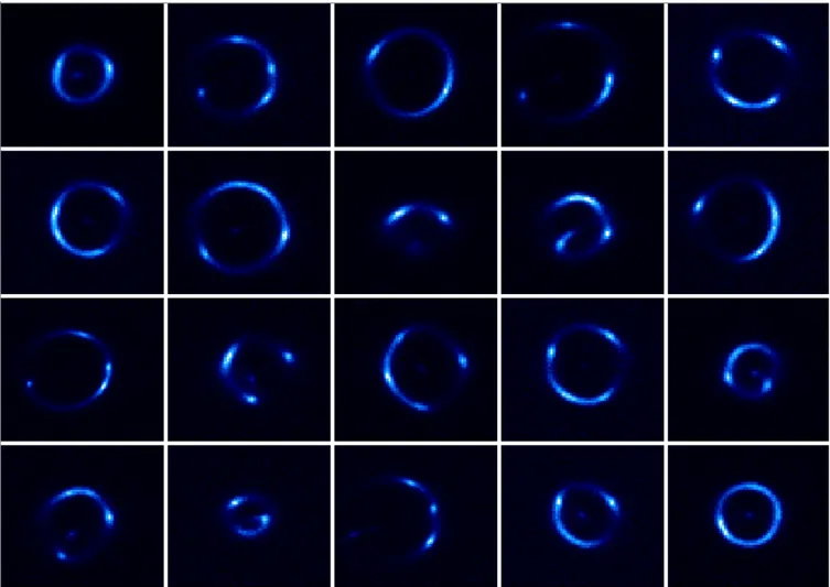 Figure 3. A subset of strong lenses from EAGLE (Reference model) 50 cMpc, z l = 0.271