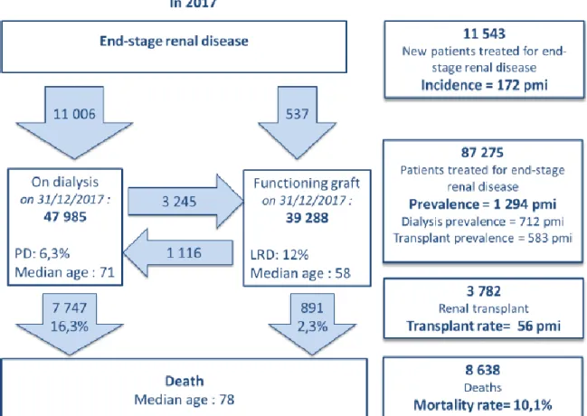 Figure 1 : Insuffisance rénale chronique terminale et techniques de suppléance en 2017