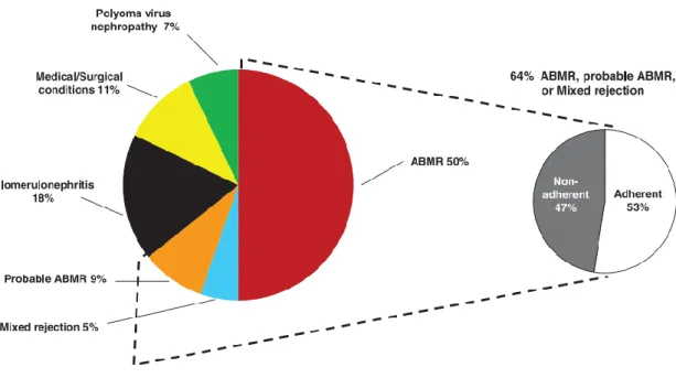 Figure 4 : Causes de perte de greffon (7) 