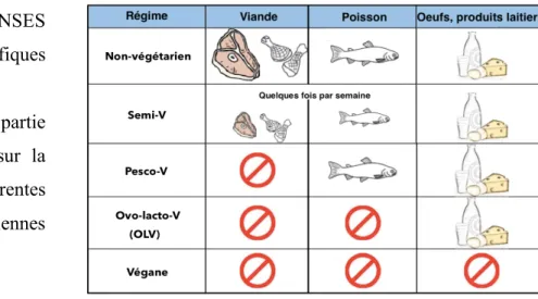 Figure 7: Les régimes végétariens 