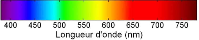 Figure 1.3  Relation entre la couleur et la longueur d'onde dans le spectre du visible [44]