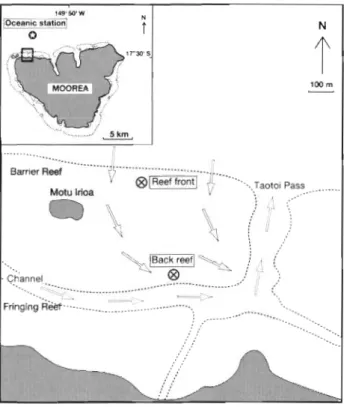Fig.  1.  Station  locations  and  prevailing  currents  along  the  Tiahura barrier reef 