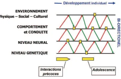 Figure 1 : Le modèle développemental d’épigenèse probabiliste (Cohen 2008) 