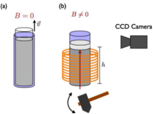 FIG. 2. 共 Color online 兲 Sketch of the experimental setup. 共 a 兲 An initialization protocol is used to obtain a reproducible and  homog-enous initial packing fraction ␩ 0 