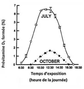 Figure 9. Photosynthèse du précholécalciférol à différentes heures de la journée en octobre  ( ●) et juillet  ○  à Bosto  (1)