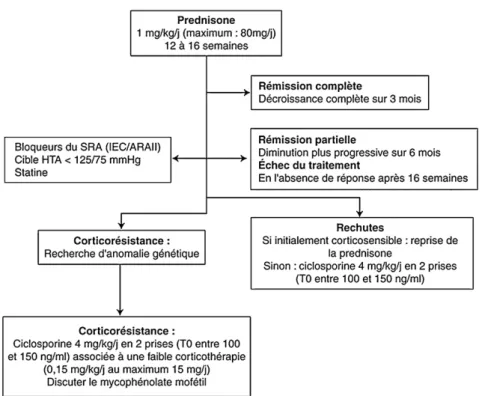 Figure  3 :  Arbre  décisionnel  des  modalités  de  prescription  de  la  corticothérapie  au  cours  du  syndrome néphrotique idiopathique, issue de (8)