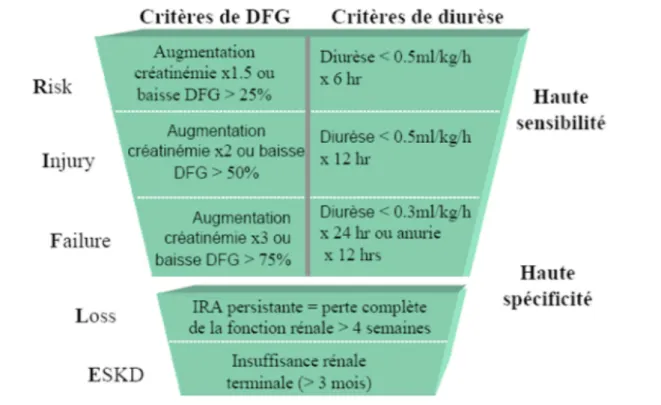 Figure   1   :   Classification   RIFLE   d’après   ADQI      [18]   