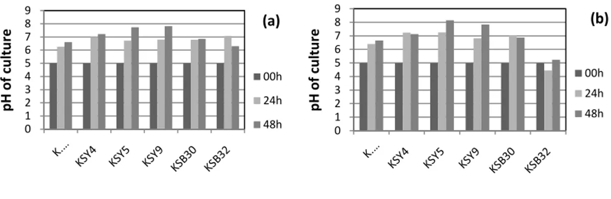 Figure 2.Evolution of pH of the culture medium of each strain on pectin (a) and PGA (b) medium respectively 5  g/l, 30°C for 48 h