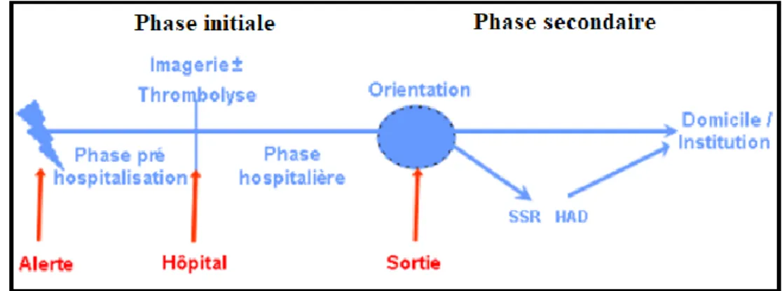 Figure 8 : Schéma des phases initiales et secondaires dans la prise en charge d’un AVC