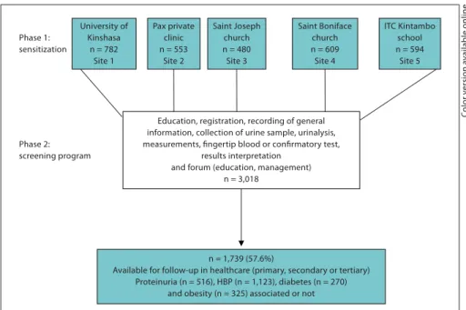 Fig. 1.   Illustration of the phases of the free  mass screening of proteinuria and  associ-ated risk factors of CKD at the 2007 WKD  (‘Are Your Kidneys OK’) in Kinshasa