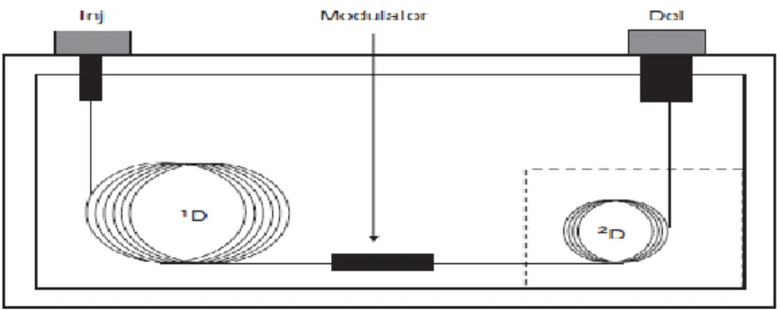 FIGURE 1 Schematic representation of GC×GC system. Two chromatographic columns are  connected in series via an interface called “the modulator”