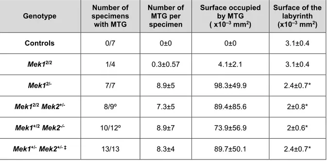Table  2.2.  MTG  phenotype  in  the  different  Mek1  Mek2  mutants.  The  number  of  specimens with MTG out of the total number of specimens analyzed at E12.5