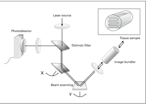 Figure 5 : Schéma du microscope confocal fibré en fluorescence (Cellvizio®). Issu de Thiberville et al