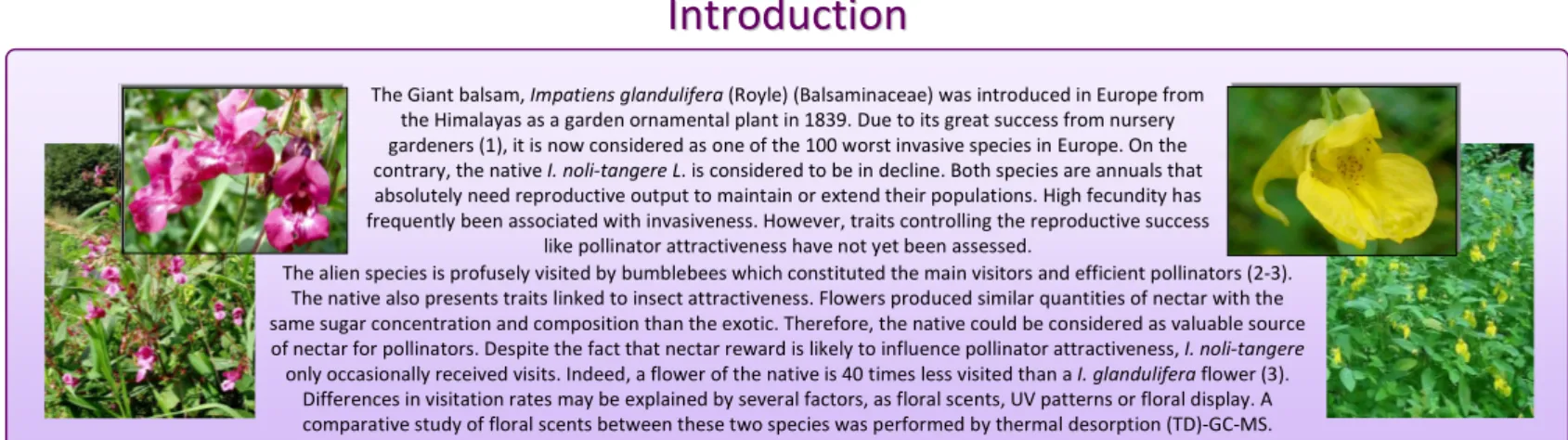 Table 1 Main monoterpenes detected in the two species