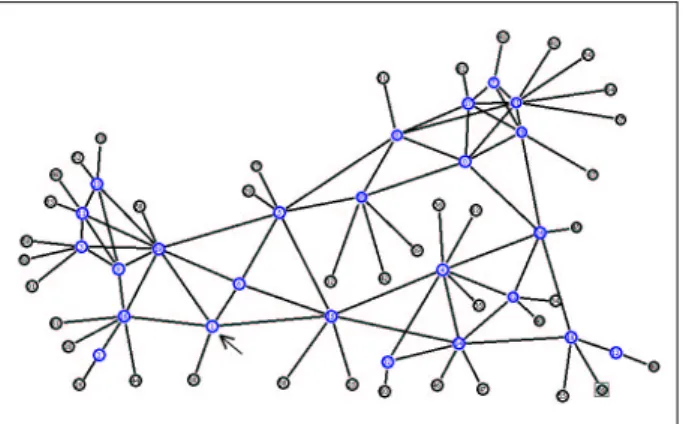 Figure 2. L’une des topologies générée aléatoirementDanscescénario,