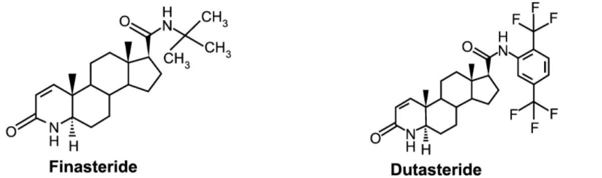 Figure 5.3. Structure des dérivés 4-azastéroïdes finasteride (Proscar TM  et Propecia TM ) et  dutasteride (Avodart TM   et Jalyn TM )  qui agissent comme des inhibiteurs efficaces de la  5α-réductase