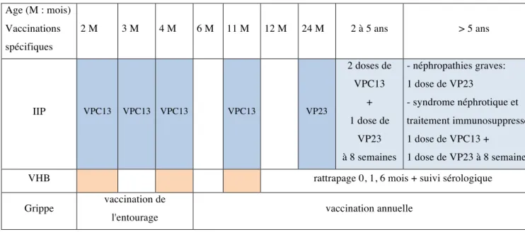 Tableau 8. Synthèse des recommandations particulières chez l’enfant atteint de néphropathie 