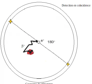 Figure 4 : la Détection en Coïncidence 