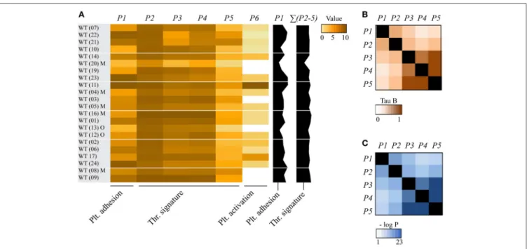 FIGURE 1 | Consistency of collagen-dependent thrombus formation between multiple wild-type mouse datasets