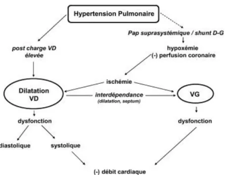 Figure 1 : Physiopathologie macrocirculatoire  