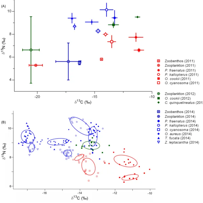 Fig. 1.  (A) Mean values (± SD) of δ 13 C (‰) and δ 15 N (‰) of cardinalfishes. (B) Isotopic niches of cardinalfishes