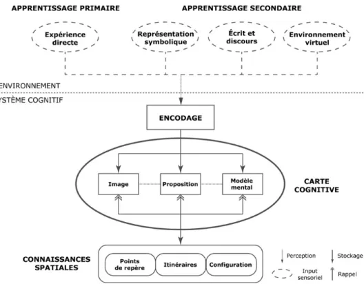 Figure 6. Traitement de l’information et organisation des connaissances spatiales. 
