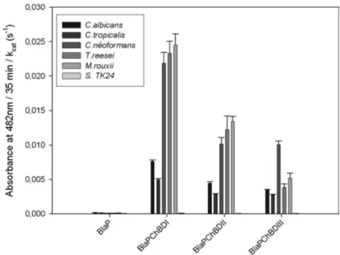 Figure 2. Interaction of the different chimeric proteins with fungal cell wall chitin