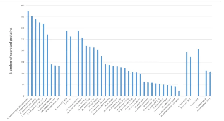 FIGURE 3 | Secretome size in the different Carnobacterium genomes. Other genomes belonging to lactic acid bacteria (LAB) (Lactococcus and Lactobacillus) and other Gram-positive species (Staphylococcus, Enterococcus, and Streptococcus) available at Microsco