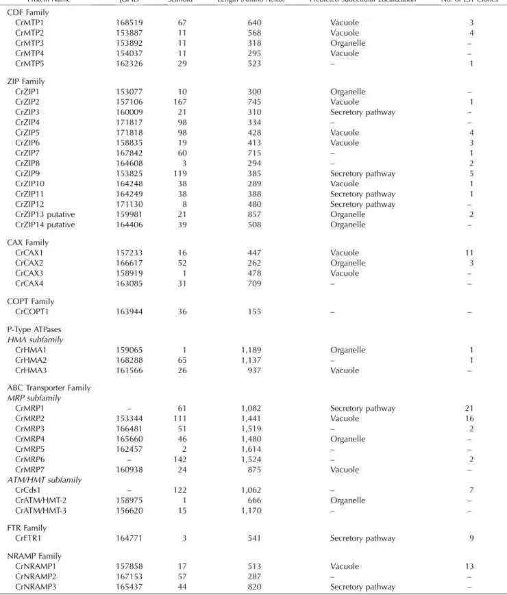 Table II. Overview of the identified metal transporters in C. reinhardtii