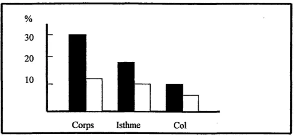 Figure 2  :répartition quantitative des fibres musculaires  dans l'utérus (d'après Schwalm 1984) 